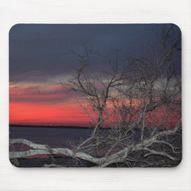 Dead Tree Sunset Mouse Pad (Front)
