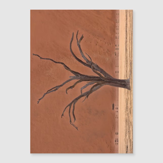 Dead Vlei, Namibia (Front)