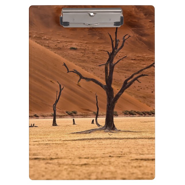 Dead Vlei, Namibia Clipboard (Front)