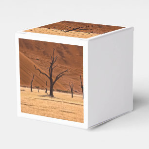 Dead Vlei, Namibia Favor Box