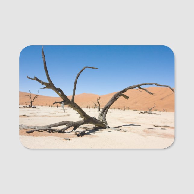 Dead Vlei, Namibia Name Tag (Front)