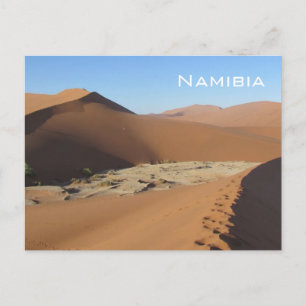 Dead Vlei, Namibia Postcard