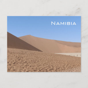 Dead Vlei, Namibia Postcard