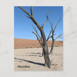 Dead Vlei, Namibia Postcard