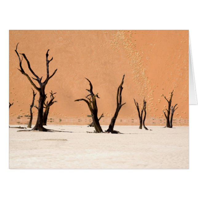 Dead Vlei, Namibie (Devant horizontal)