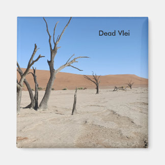 Dead Vlei, Namibie Magnet