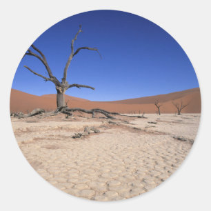 Dead Vlei, Sossusvlei, Namib-Naukluft National Classic Round Sticker