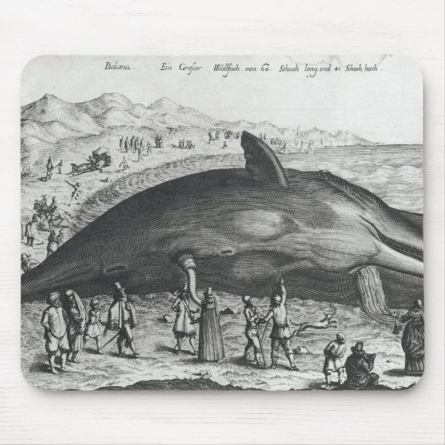 Dead whale mouse pad (Front)