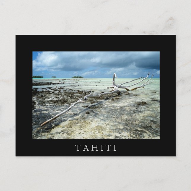 Dead wood in the Pacific black text postcard (Front)