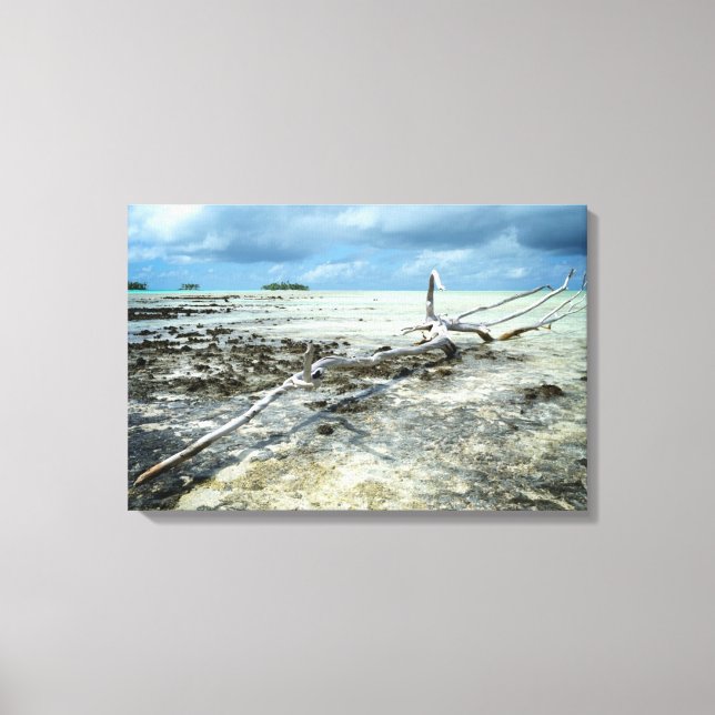 Dead wood in the Pacific canvas print (Front)