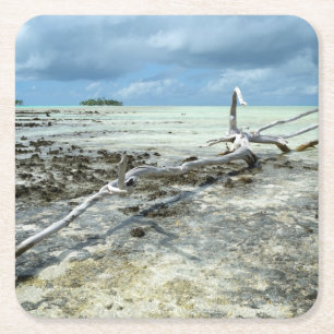 Dead wood in the Pacific coaster
