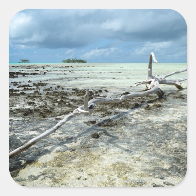 Dead wood in the Pacific sticker (Front)