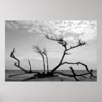Dead Wood Poster
