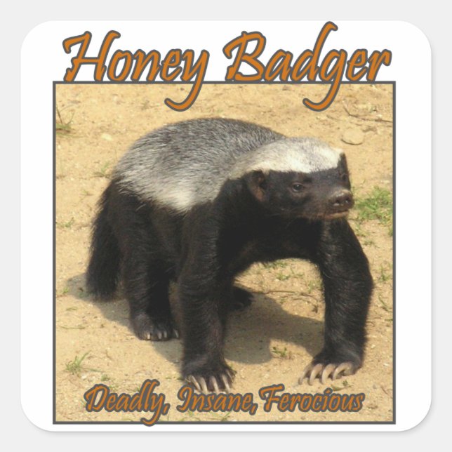 Deadly, Insane, Ferocious Honey Badger Sticker (Front)