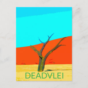 Deadvlei Namibia Travel Vintage Art Postcard