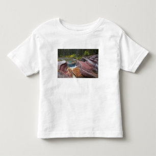 Deadwood Falls on Reynolds Creek in autumn in Toddler T-shirt