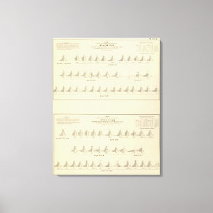 Deaf and Mutism, Statistical US Lithograph Canvas Print