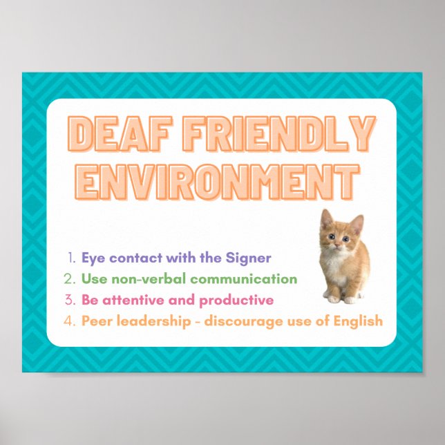 Deaf Friendly Environment - ASL Class Poster (Front)