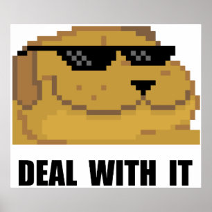 Deal With It Poster