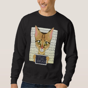 Dear Dad I Can Explain I Savannah Cat Dad I Savann Sweatshirt