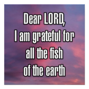 Dear LORD, I am grateful for all the fish... Poster