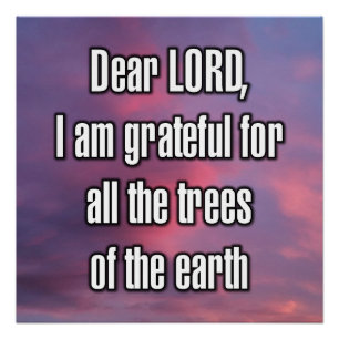 Dear LORD, I am grateful for all the trees... Poster