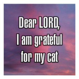 Dear LORD, I am grateful for my cat Poster