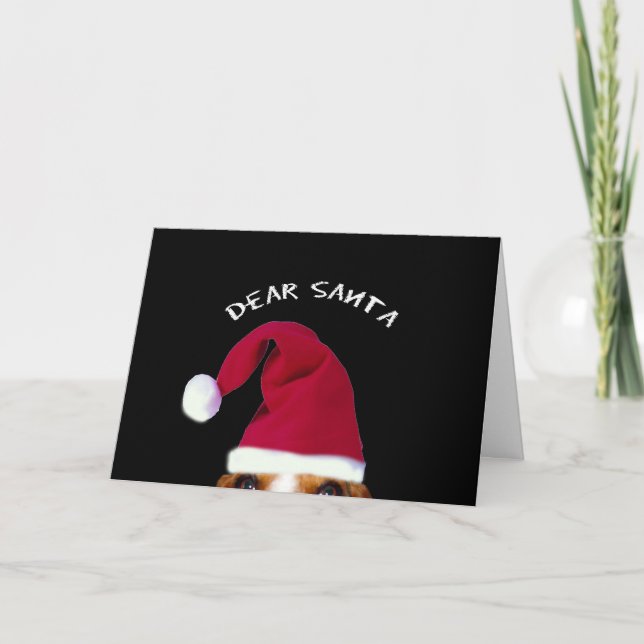 Dear Sant, I can explain...... Holiday Card (Front)