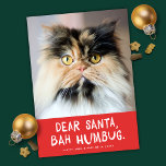 Dear Santa Bah Humbug Funny Pet Photo Holiday Card<br><div class="desc">This funny pet holiday photo card features the greeting "Dear Santa, Bah Humbug" with an almost square photo. The colours are red and white but can be changed to any colours or your choice (even the greeting). It's the perfect design for any pet lover! It works very well with a...</div>