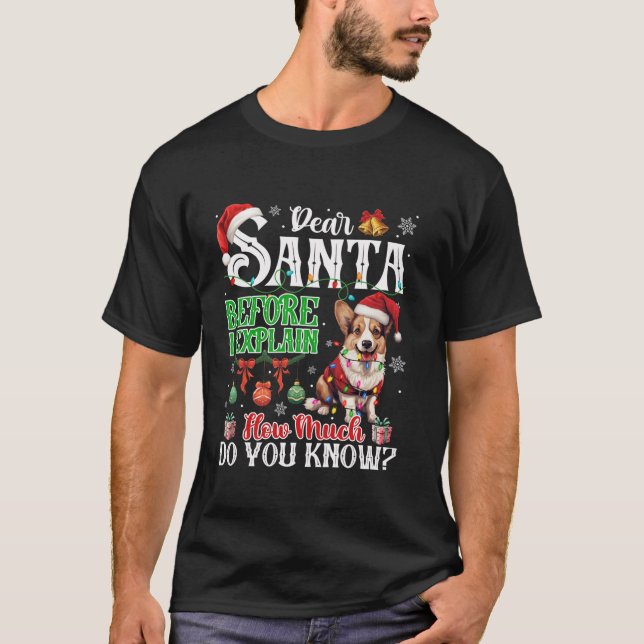 Dear Santa Before Explain How Much You Know Welsh  T-Shirt (Front)