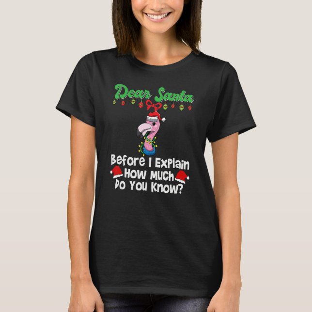 Dear Santa Before I Explain How Much Do You Know_1 T-Shirt (Front)