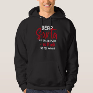 Dear Santa Before I Explain How Much Do You Know 2 Hoodie