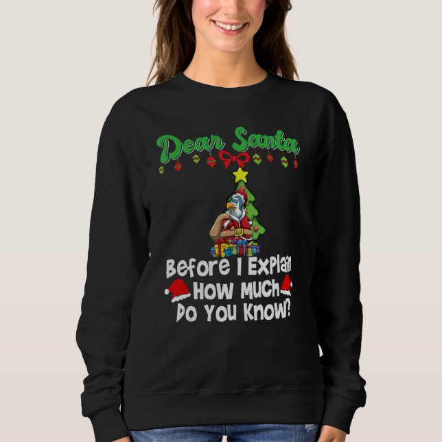 Dear Santa Before I Explain How Much Do You Know_5 Sweatshirt (Front)