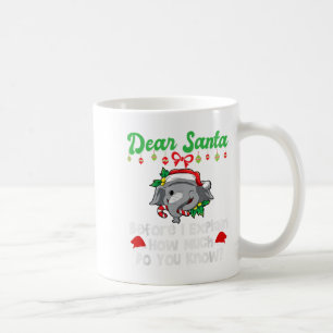 Dear Santa Before I Explain How Much Do You Know Coffee Mug