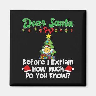 Dear Santa Before I Explain How Much Do You Know  Magnet