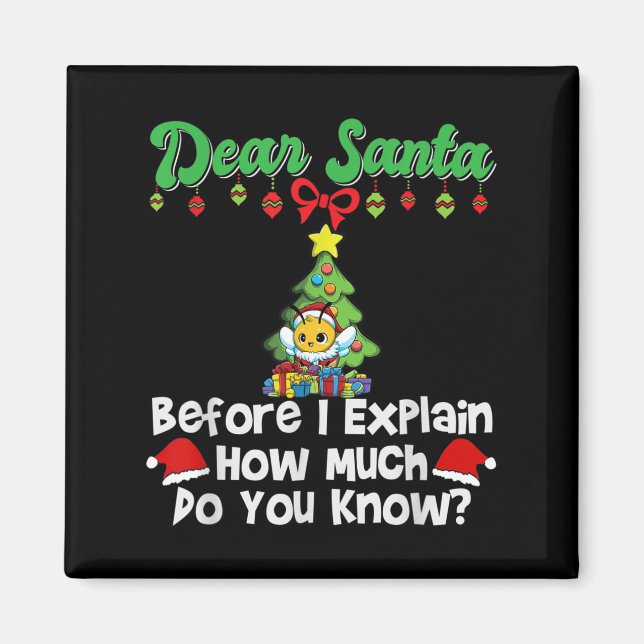 Dear Santa Before I Explain How Much Do You Know  Magnet (Front)