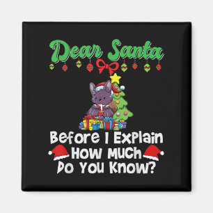 Dear Santa Before I Explain How Much Do You Know  Magnet