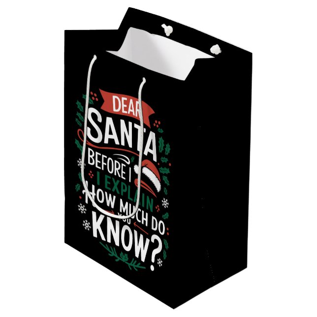 Dear Santa Before I Explain How Much Do You Know Medium Gift Bag (Front Angled)