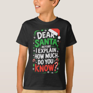Dear Santa Before I Explain How Much Do You Know S T-Shirt