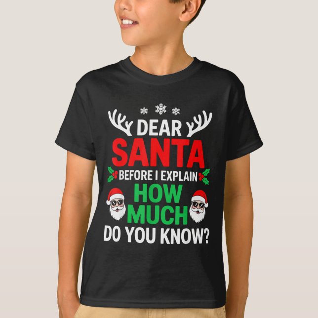 Dear Santa Before I Explain How Much Do You Know  T-Shirt (Front)
