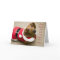 Dear Santa