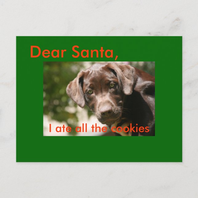 Dear Santa,, I ate all the cookies Holiday Postcard (Front)
