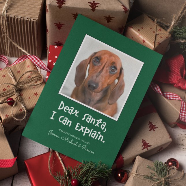 DEAR SANTA I CAN EXPLAIN Add Your Photo (Creator Uploaded)