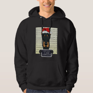 Dear Santa I Can Explain Doberman Christmas Hoodie