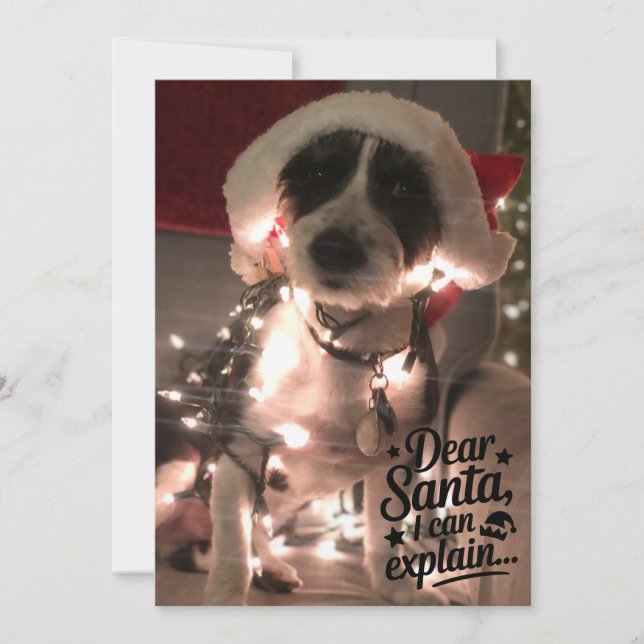 Dear Santa I can explain (dog) Card (Front)