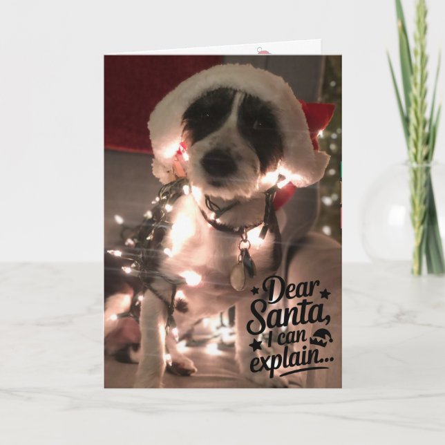Dear Santa I can explain (dog) Card (Front)