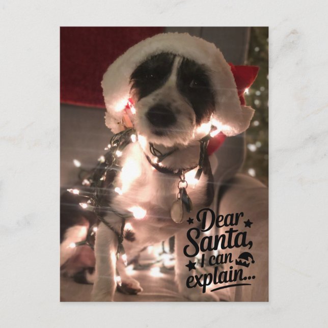 Dear Santa I can explain (dog) Postcard (Front)