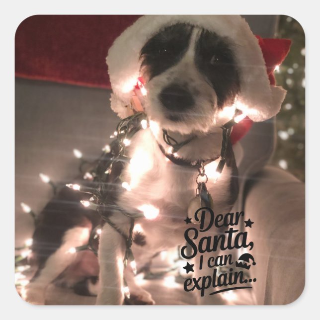 Dear Santa I can explain (dog) Square Sticker (Front)