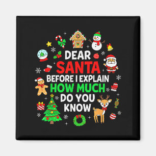 Dear Santa I Can Explain Funny Christmas Matching Magnet