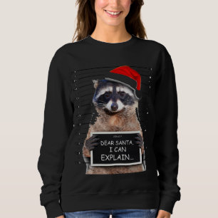 Dear Santa I Can Explain Funny Christmas Raccoon Sweatshirt